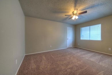 Carpeted spare room featuring ceiling fan and a t