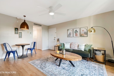 1260 Ski View Dr unit 4204, Gatlinburg, TN 37738 - photo 7