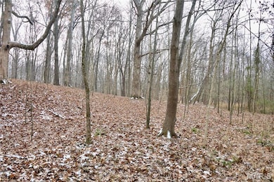 00 N Maysville Ln, Mount Vernon, IL 62864 - photo 3