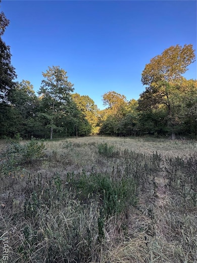 TDB Upper Janes Creek Raod, Ravenden, AR 72459 - photo 3