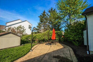 Backyard Patio