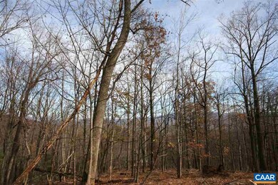 1450 Crawfords Climb unit RODES VALLEY FOOTHIL, Nellysford, VA 22958 - photo 4