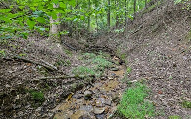 Additional View