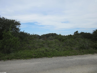 Lot View