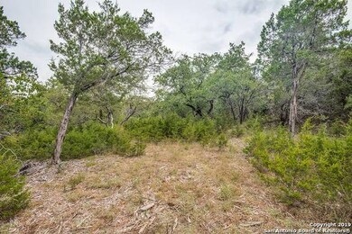 24380 Scenic Loop Rd, San Antonio, TX 78255 - photo 5