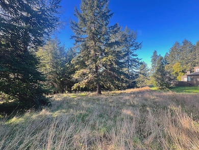 38065 Foothill Close, Sea Ranch, CA 95480 - photo 3