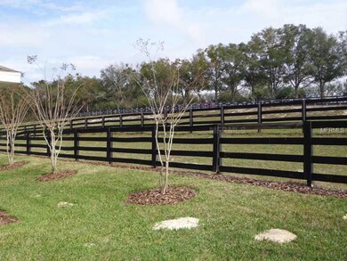 30438 Lipizzan Terrace, Mount Dora, FL 32757 - photo 3