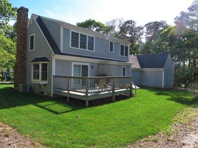 back yard