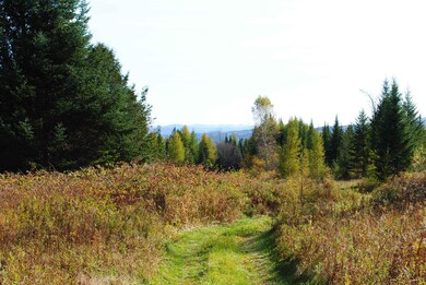 00 Old Coach Rd, Lyndon, VT 05851 - photo 4