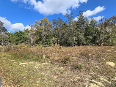 1487 N Reading Point, Inverness, FL 34453 - photo 3