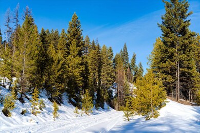NHN Elk Creek - McGinnis Meadows Road Section 11, Libby, MT 59923 - photo 5