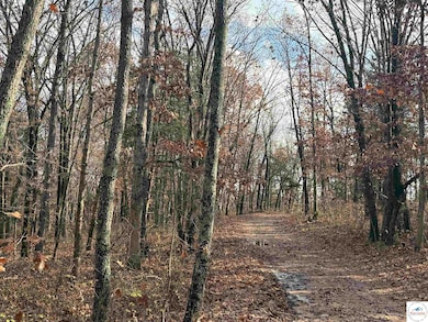 24978 Highway H, Lincoln, MO 65338 - photo 5