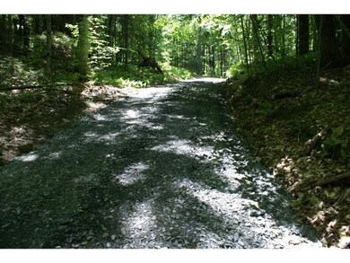 930 Turkey Hill Rd unit Lot 1, Northfield, VT 05663 - photo 3
