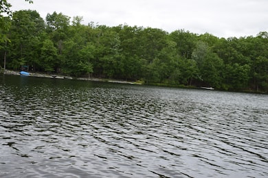 109 Mockingbird Ct, Bushkill, PA 18324 - photo 6