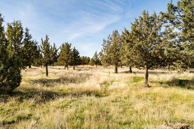 0 SW Peninsula Dr unit Lot 173 220199686, Terrebonne, OR 97760 - photo 6