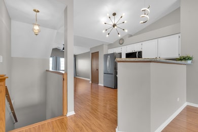 239 Camel Bend Ct unit 4, Schaumburg, IL 60194 - photo 4