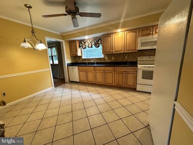 115 Elm Ave, Newark, DE 19711 - photo 6