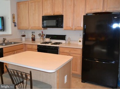 223 Arbor Vista Ln, Owings Mills, MD 21117 - photo 6