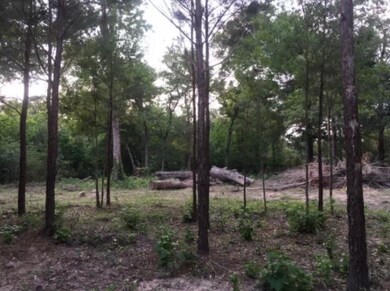 26164 Grand Pines Rd, Magnolia, TX 77355 - photo 2