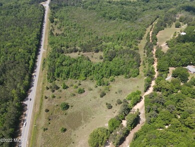 00 Genie Ethridge Rd, Gray, GA 31032 - photo 4