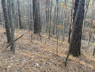 19.6 acres Willie Rd, Seagrove, NC 27341 - photo 5