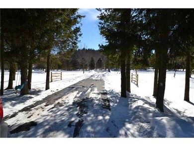 Other. Driveway towards the road.