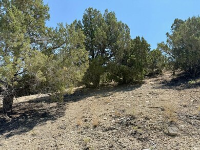 Big Belt St unit Elko NV, Elko, NV 89801 - photo 4