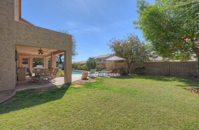 30-7-Backyard