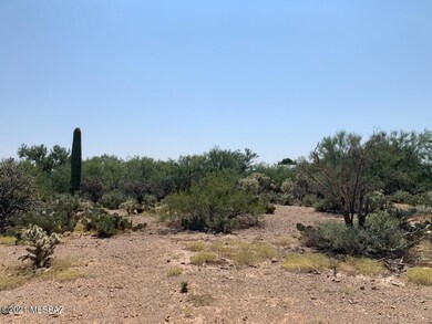 IMG_0566(1)
