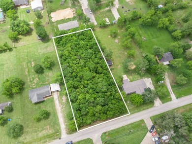 0 County Road 557, Alvin, TX 77511 - photo 2