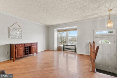 13319 Burkitts Rd, Fairfax, VA 22033 - photo 3