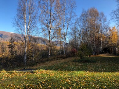 Schrockbackyard