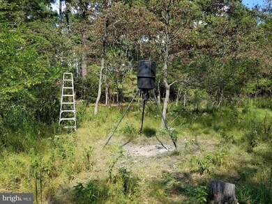 0 Toddville - Bishops Head Rd unit 1000999421, Toddville, MD 21672 - photo 7