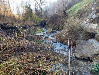 TBD Bradford Rd, Ramseytown, NC 28714 - photo 2