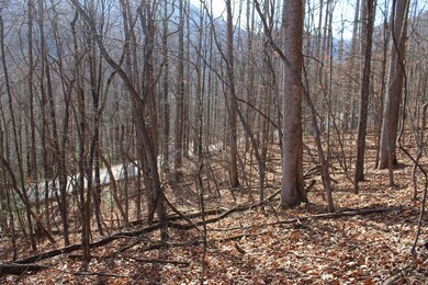 00 W Old Murphy Rd, Franklin, NC 28734 - photo 4