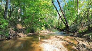 View of local wilderness