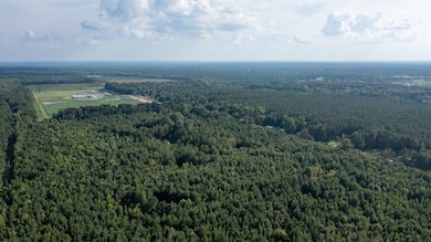 33.6 acres E Side Sand Rd, Starkville, MS 39759 - photo 7