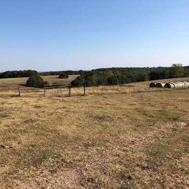 000 Farm Road 2080, Jenkins Township, MO - photo 4