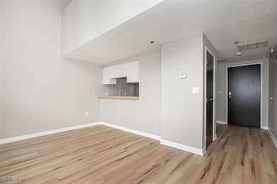 Apartment 92 Water Street unit 321, Cleveland, OH 44113 - photo 6