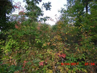 0 Perida Rd, Webster, WI 54893 - photo 7