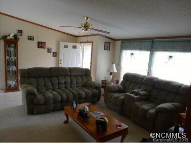 751 Starnes Cove Rd, Asheville, NC 28806 - photo 3