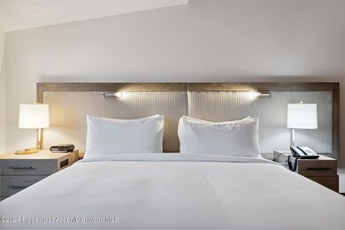 415 E Dean St Unit 12 Week 8, Aspen, CO 81611 - photo 6