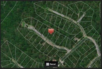 Lot 33 Morley, Bella Vista, AR 72714 - photo 2