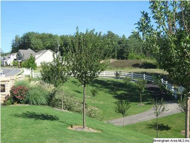 Apple Orchard