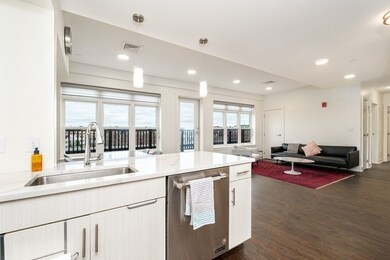 20 Penniman Rd unit P2, Boston, MA 02134 - photo 4