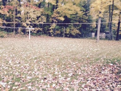 Bernice Lane - Yard