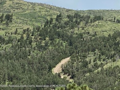 TRACT 3 Hwy 37, Angus, NM 88316 - photo 6