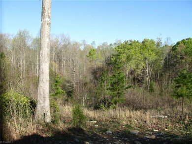 1004 Foggy Mountain Rd, Asheboro, NC 27205 - photo 4