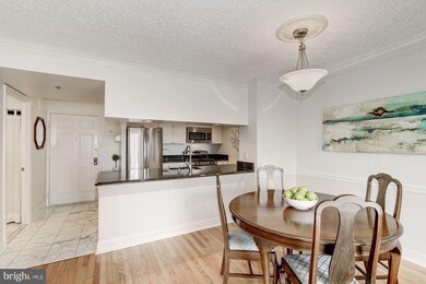 The Williamsburg unit 502, Arlington, VA 22201 - photo 6