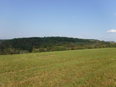 348 Mount Zion Hill Rd, Penn Township, PA 17737 - photo 3